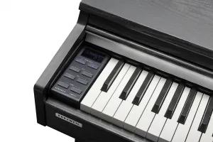 Kurzweil CUP M1 SR