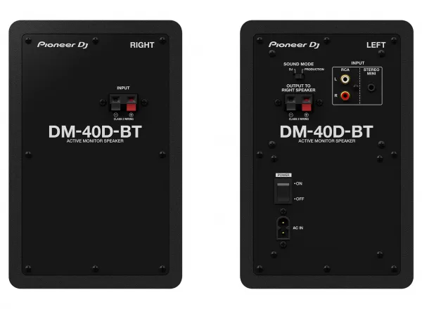 Pioneer DJ DM 40D BT
