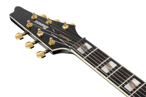 Ibanez Paul Gilbert FRM350 Black