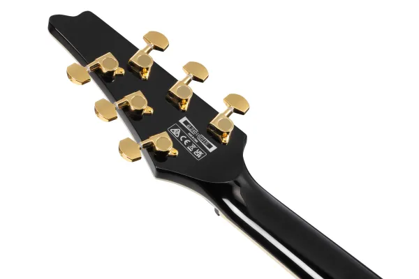 Ibanez Paul Gilbert FRM350 Black
