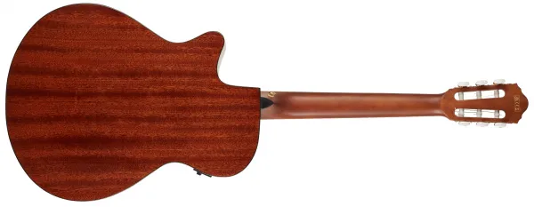 Ibanez AEG50N-NT