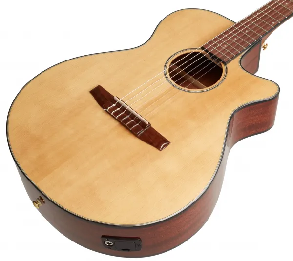 Ibanez AEG50N-NT