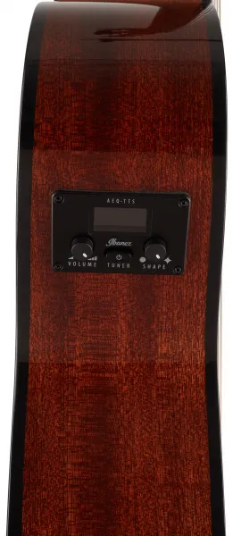 Ibanez AEG50N-NT