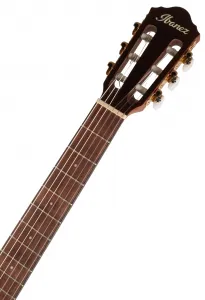Ibanez AEG50N-NT