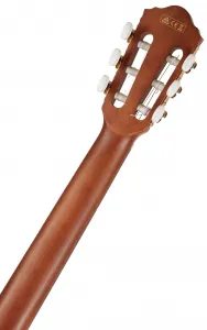 Ibanez AEG50N-NT