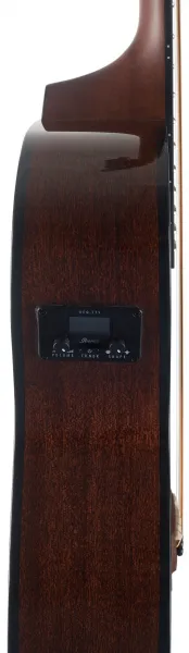 Ibanez AEG50-DHH