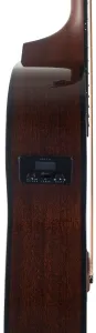 Ibanez AEG50-DHH