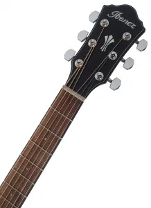 Ibanez AEG50-DHH