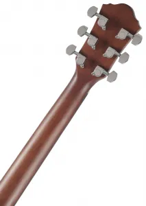 Ibanez AEG50-DHH