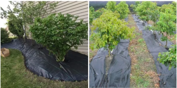 JAKS Agrotextília 70 g Veľkosť agrotextílie: 2,2 x 100 m