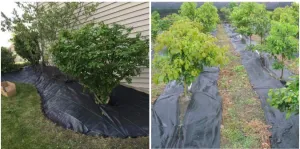 JAKS Agrotextília 70 g Veľkosť agrotextílie: 2,2 x 100 m