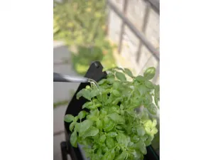 Domáci skleníkový záhon Simply Grow - Eva Solo