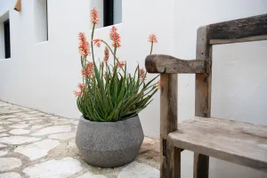 Kvetináč Harley Low, sivý diorit, viac veľkostí - Potterypots Velikost: S - ⌀ 36, v. 21,5 cm