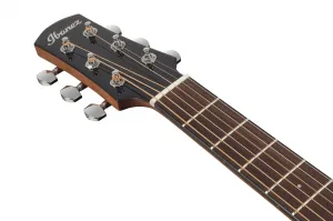 Ibanez AAM100E Natural