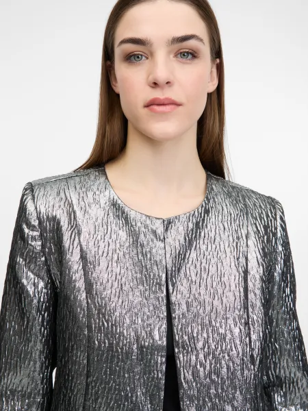 Silver Women's Jacket ORSAY - Women's