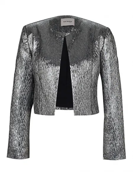 Silver Women's Jacket ORSAY - Women's