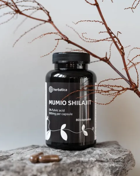 Zvýhodnený set: 2 x Shilajit - očistené mumio premium (500mg) - 80 kapsúl - Herbatica