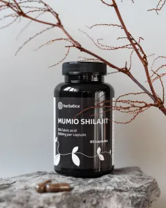 Zvýhodnený set: 2 x Shilajit - očistené mumio premium (500mg) - 80 kapsúl - Herbatica