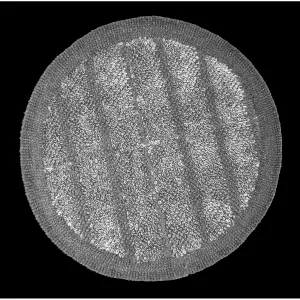 Tyčový vysávač 4v1 Concept ULTIMATE Pro+ 29,6 V VP6260