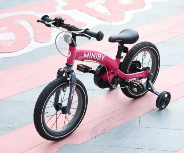 QPLAY Bicykel Miniby 3v1 Pink, vek 2 - 8 rokov