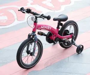 QPLAY Bicykel Miniby 3v1 Pink, vek 2 - 8 rokov