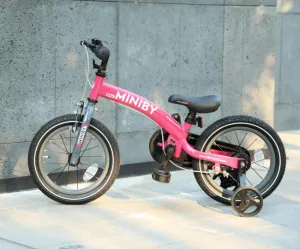 QPLAY Bicykel Miniby 3v1 Pink, vek 2 - 8 rokov