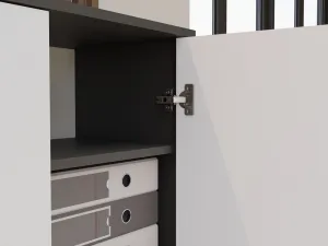 TP Living Kancelársky regál OLIV 2D antracit/biela