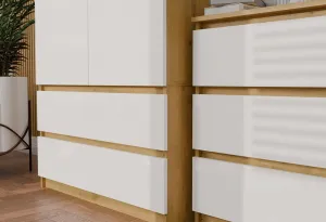 TP Living Šatníková skriňa MALWA I 90 cm dub artisan/biela