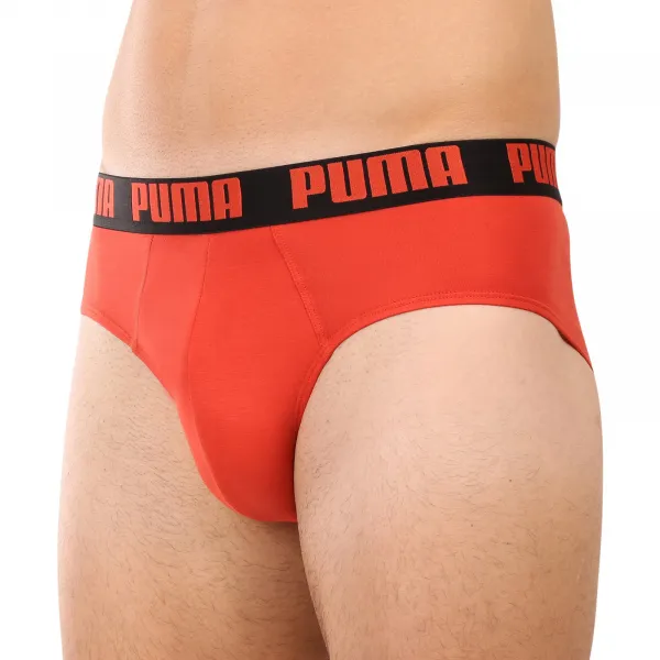2PACK pánske slipy Puma viacfarebné (701226389 019) M