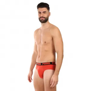 2PACK pánske slipy Puma viacfarebné (701226389 019) M