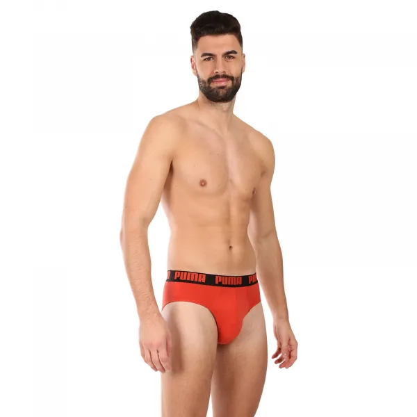 2PACK pánske slipy Puma viacfarebné (701226389 019) M