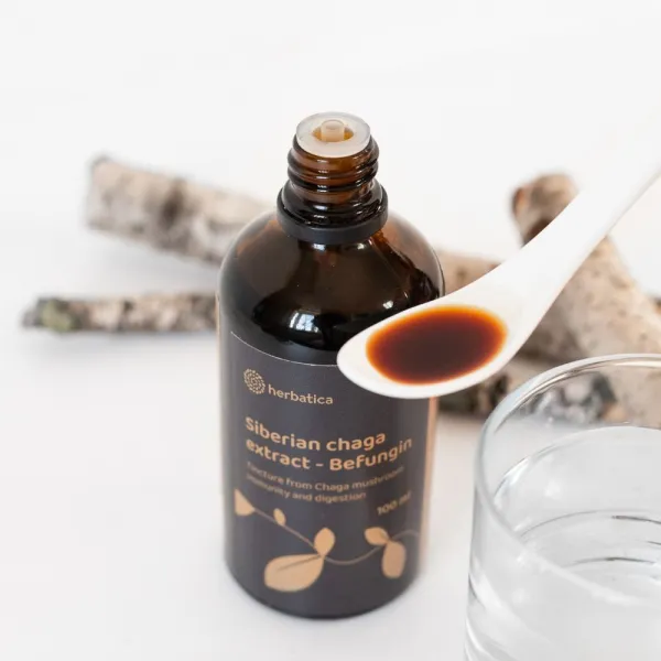 Befungin - tinktúra s extraktom z čagy sibírskej - 100 ml - Herbatica
