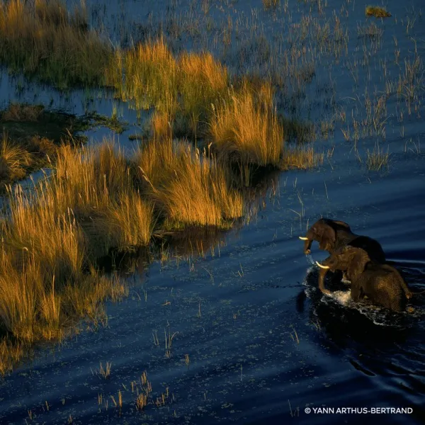 GUERLAIN Aqua Allegoria Rosa Rossa Forte parfumovaná voda plniteľná pre ženy 75 ml