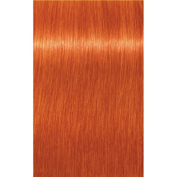 Schwarzkopf Professional IGORA Royal farba na vlasy odtieň 0-77 Copper Concentrate 60 ml