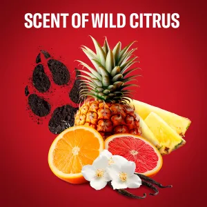 Old Spice Wolfthorn Wolf Gamer darčeková sada pre mužov