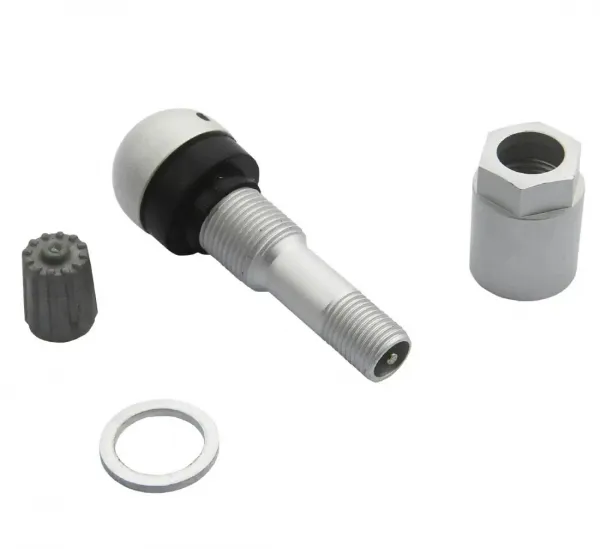 REDATS Ventil pre snímač tlaku BERU TPMS-01 - 4 kusy