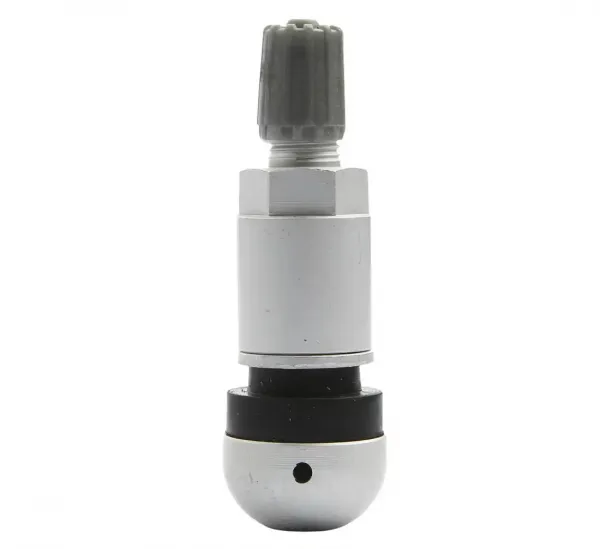 REDATS Ventil pre snímač tlaku BERU TPMS-01 - 4 kusy