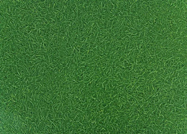 PVC podlaha Artifact Grass 025 imitácia trávy