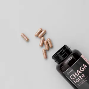 Zvýhodnený set: 2 x Čaga sibírska FORTE - 60 vegánskych kapsúl (600mg/ kapsula) - Herbatica