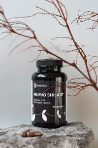 Zvýhodnený set: 2 x Shilajit - očistené mumio premium (500mg) - 80 kapsúl - Herbatica