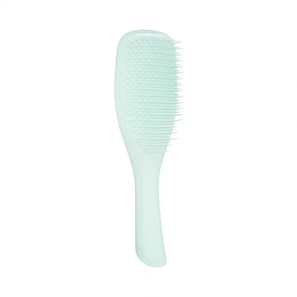 Tangle Teezer The Ultimate Detangler Fine & Fragile plochá kefa pre krehké vlasy Ice Blue 1 ks