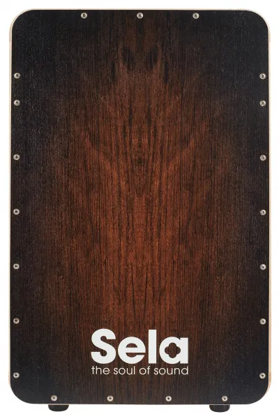 Sela CaSela Brown Dragon