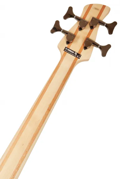 Yamaha TRBX504 TBN