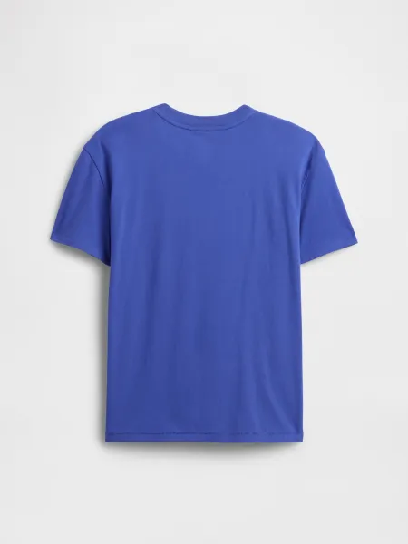 GAP Children's T-shirt - Boys