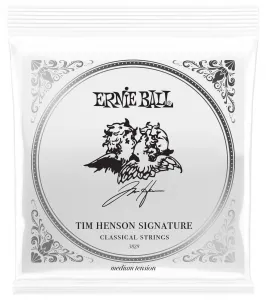 Ernie Ball Tim Henson Signature Strings and Accessories Bundle