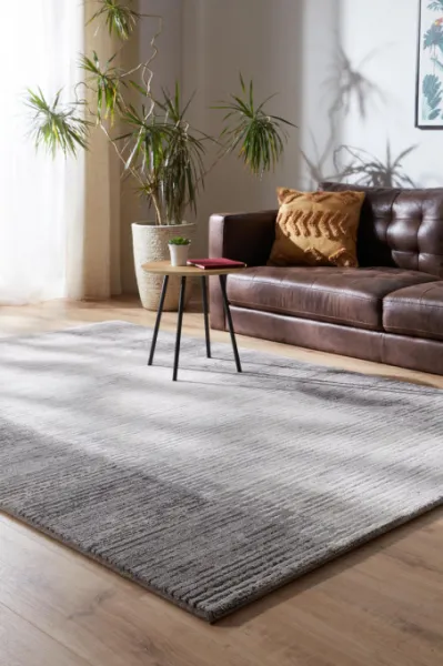 Koberec Ragolle Argentum 63849 9293