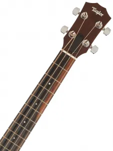 Taylor GS Mini-e Bass