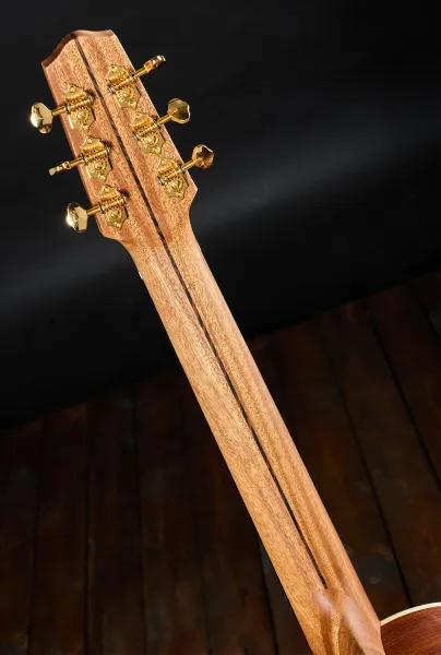 Dowina 2022 BVE Cocobolo Master Series Parlor