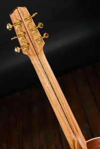 Dowina 2022 BVE Cocobolo Master Series Parlor
