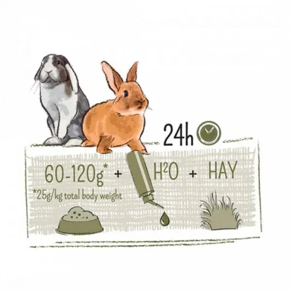 WITTE MOLEN Puur rabbit krmivo pre dospelé králiky 1 kus, Hmotnosť balenia (g): 2 kg